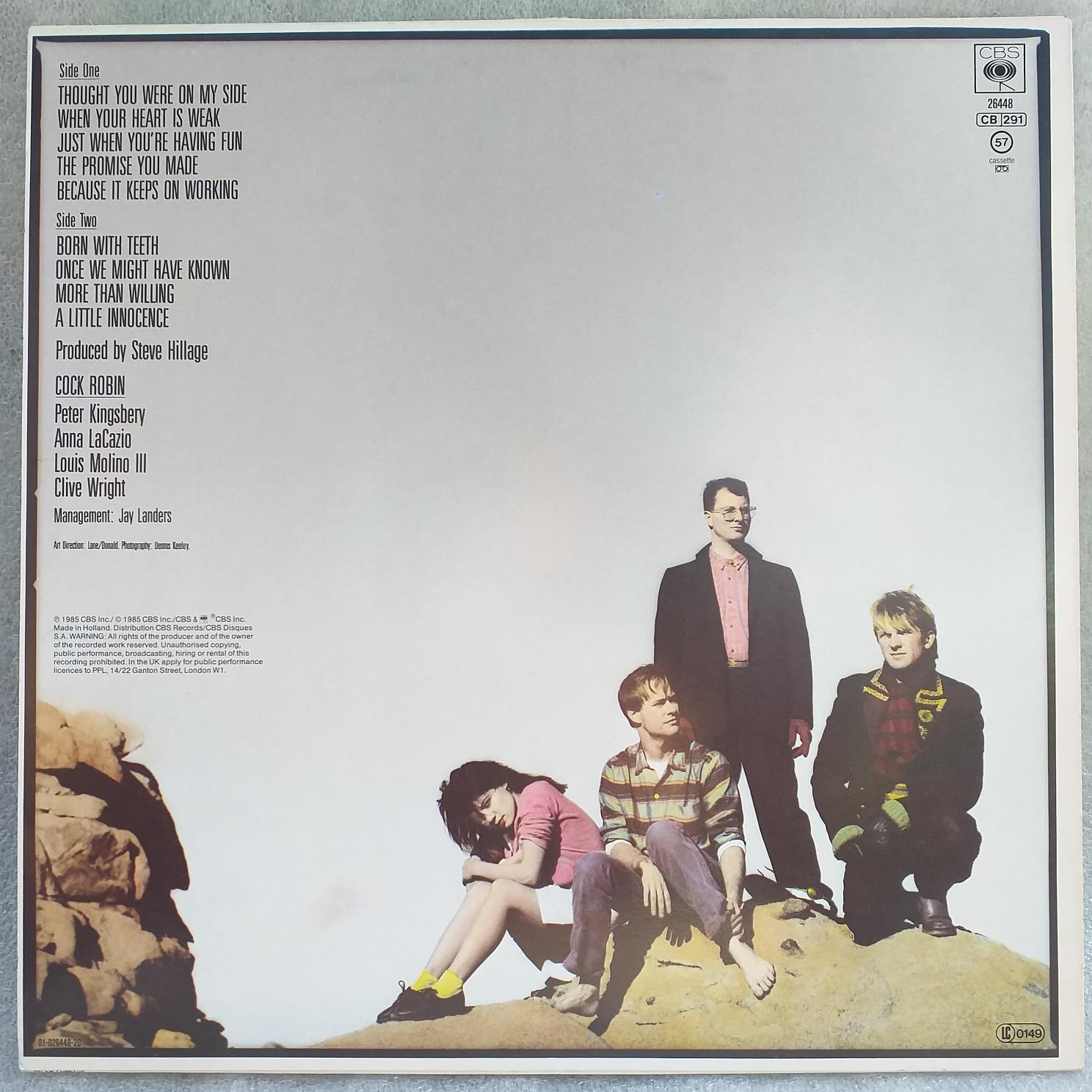 Cock Robin – Cock Robin - Disc VINIL LP EX - imagine 3