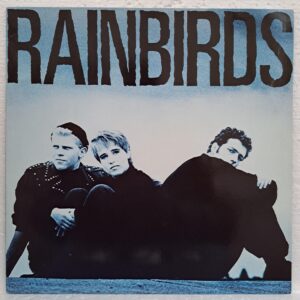 Rainbirds – Rainbirds - Disc VINIL LP VG VG-
