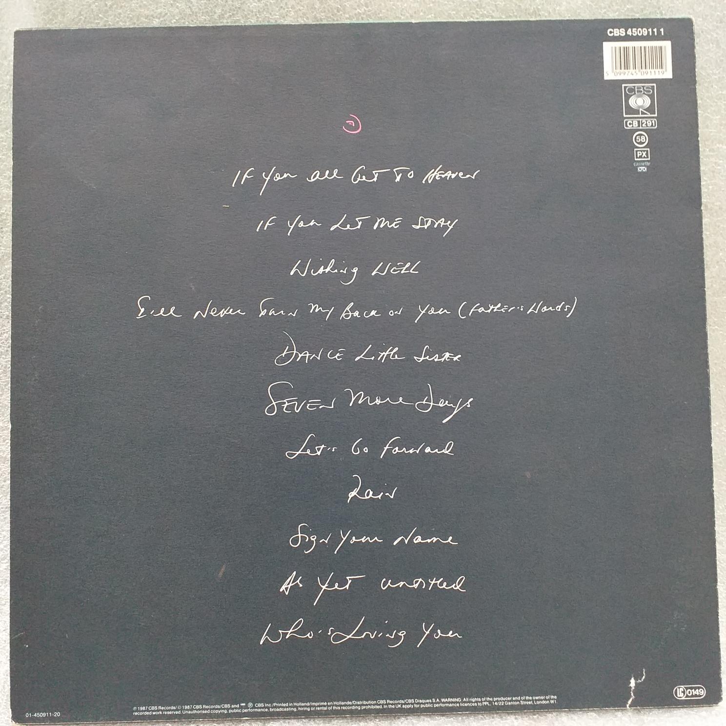Terence Trent D’Arby – Introducing The Hardline According To Terence Trent D’Arby Disc VINIL LP VG+ - imagine 2