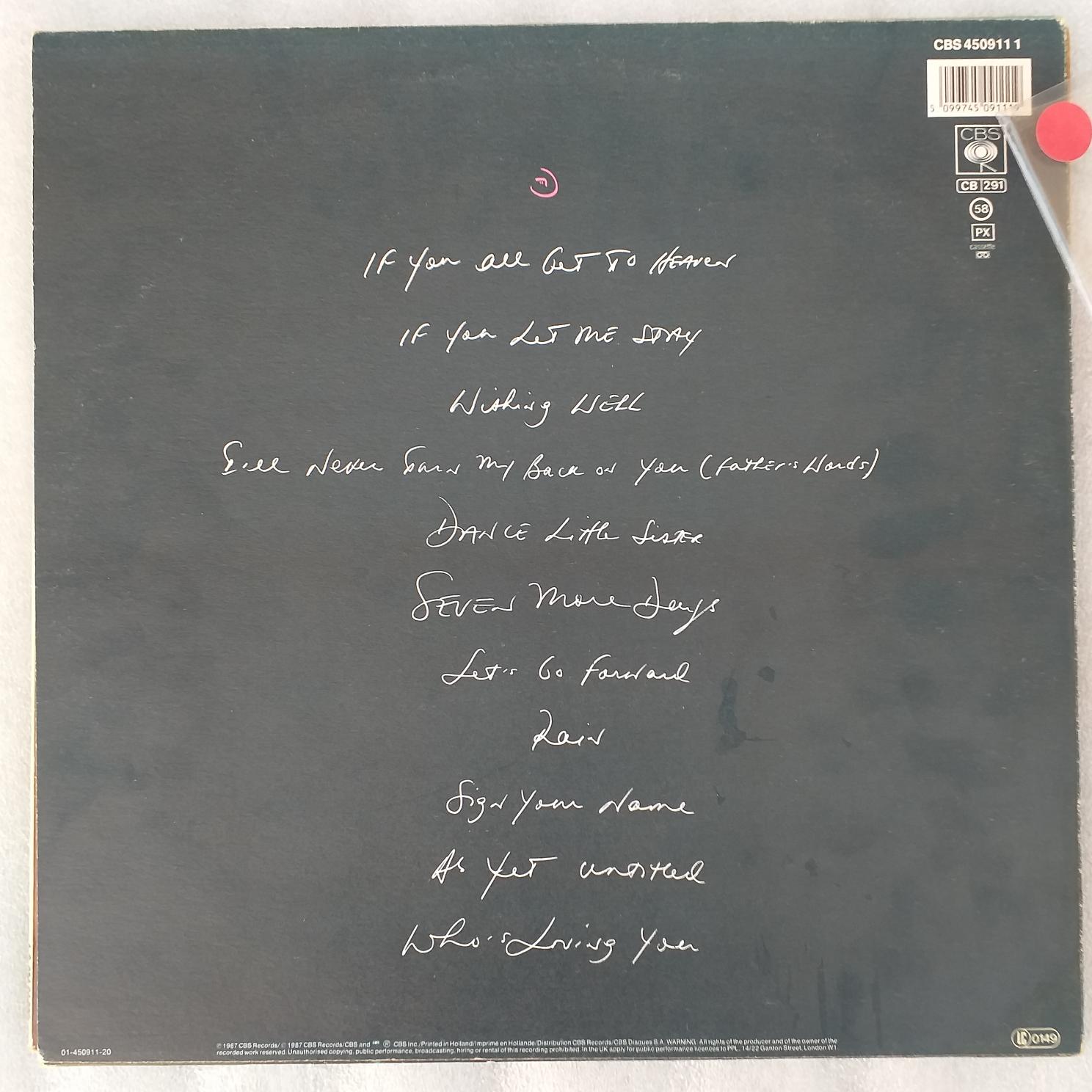 Terence Trent D’Arby – Introducing The Hardline According To Terence Trent D’Arby - Disc VINIL VG VG+ - imagine 3