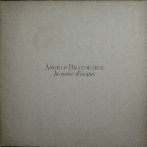 Angelo Branduardi – La Pulce D'Acqua - Disc Vinil LP EX
