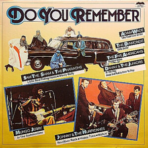 Do You Remember - Disc VINIL 2LP VG+
