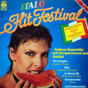 Italo Hit Festival - Ricchi E Poveri, Umberto Tozzi, Drupi, Adriano Celentano -Disc Vinil LP VG+