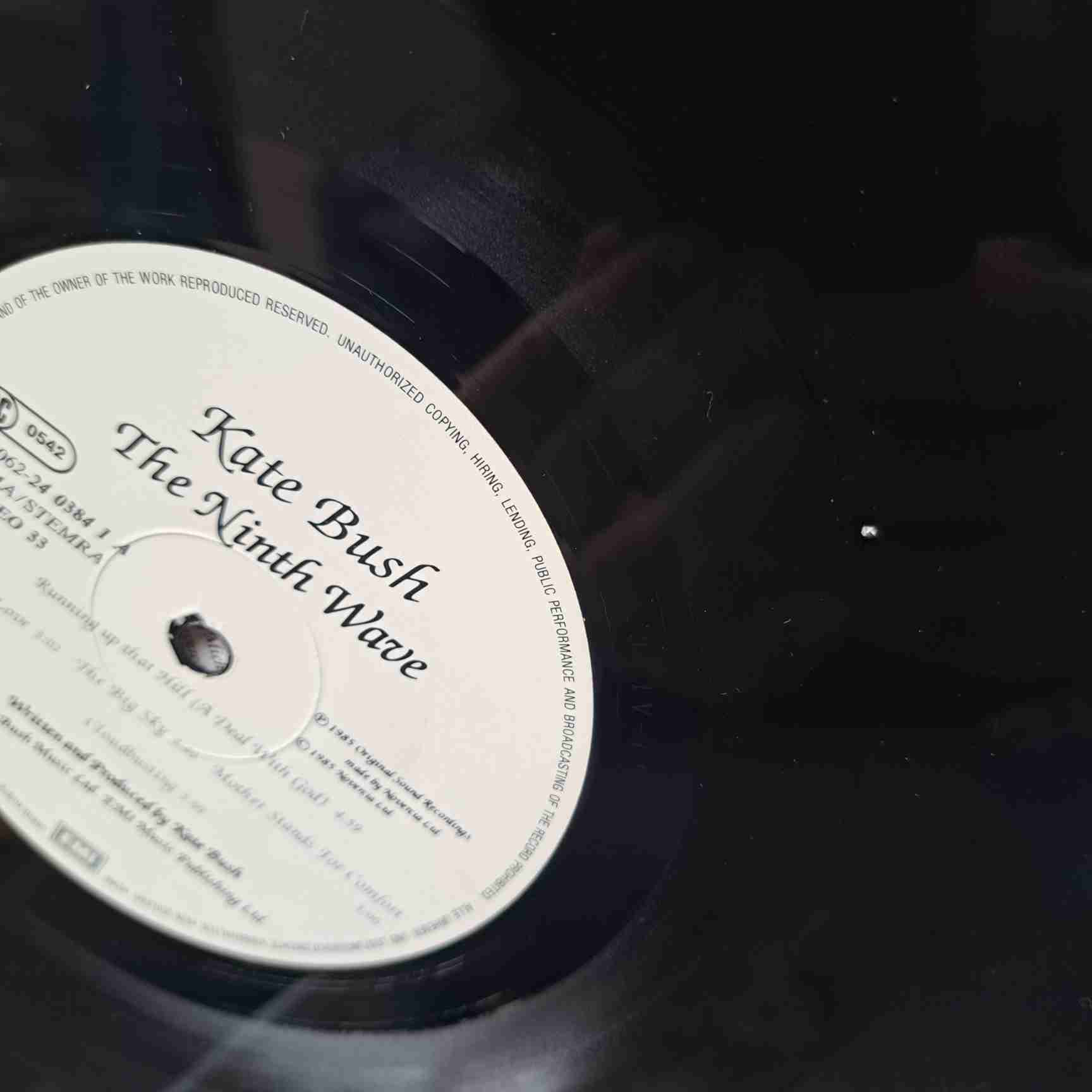 Kate Bush – Hounds Of Love - Disc VINIL LP VG, urmă mică, nu sare - imagine 3