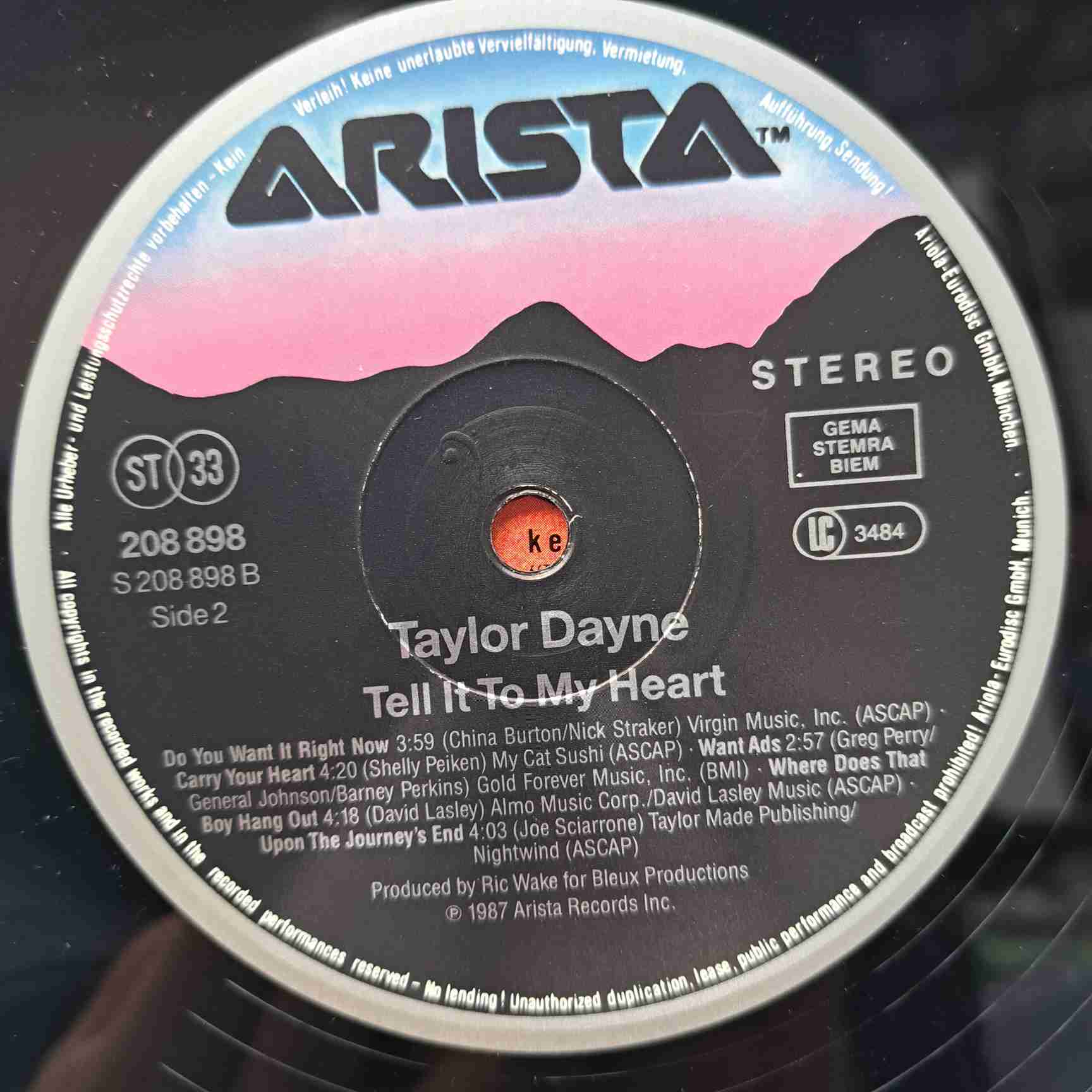 Taylor Dayne – Tell It To My Heart - Disc VINIL LP VG - imagine 2