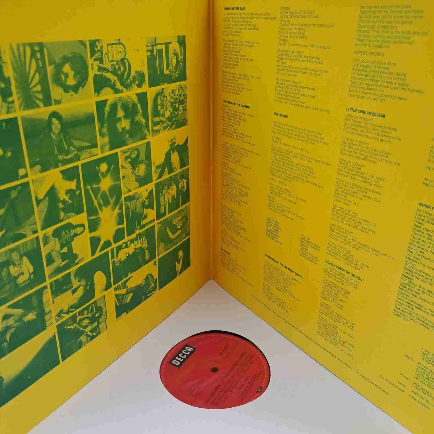 Thin Lizzy – Vagabonds Of The Western World - Disc VINIL LP VG VG+ - imagine 3