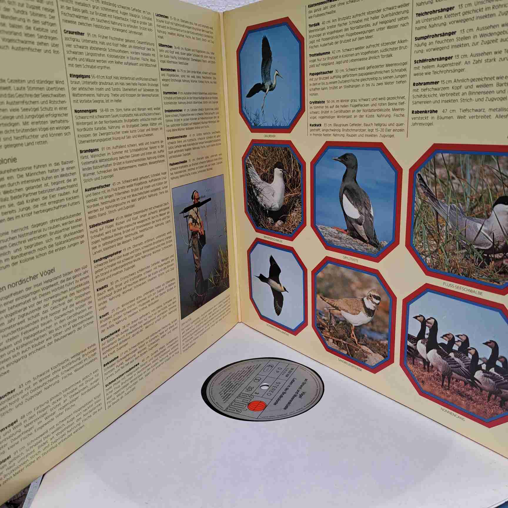 Karl-Heinz Gaberding – Vogelstimmen - Vögel An Strand Und Meeresküste - Disc VINIL 2LP VG+ - imagine 3