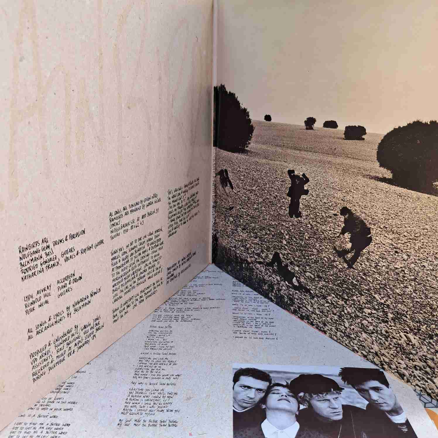 Rainbirds – Call Me Easy Say I'm Strong Love Me My Way It Ain't Wrong - Disc VINIL LP EX - imagine 3